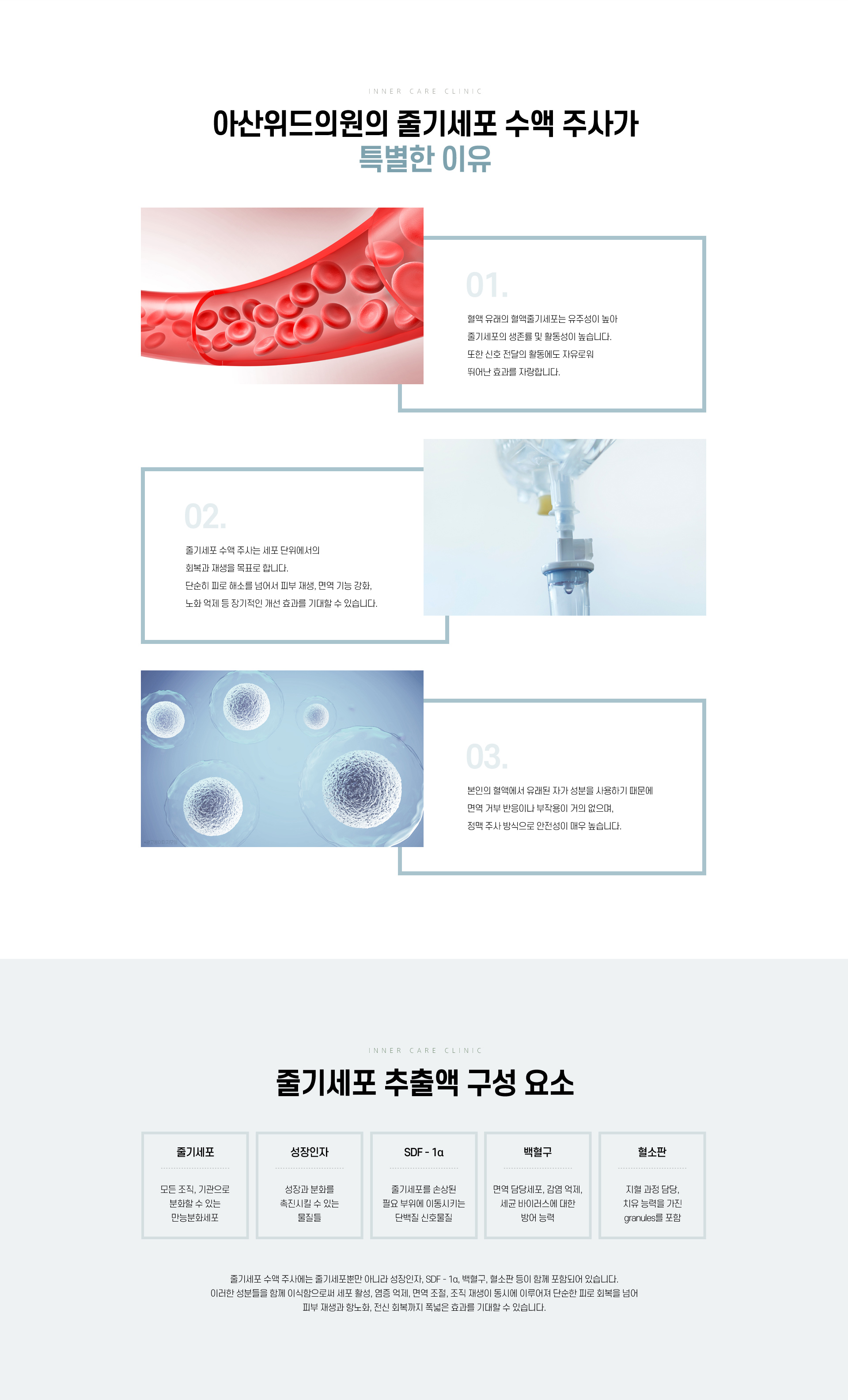 이너케어수액주사